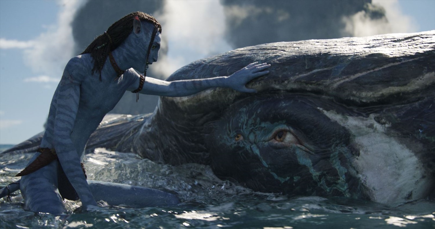 Avatar: The Way Of Water (Tạm dịch là Avatar: Dòng chảy của nước). Ảnh: imdb.com