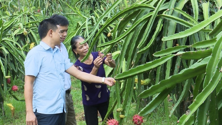 Người dân đã thay đổi phương thức canh tác, tập quán và dịch chuyển, sản xuất hàng hóa để thoát nghèo