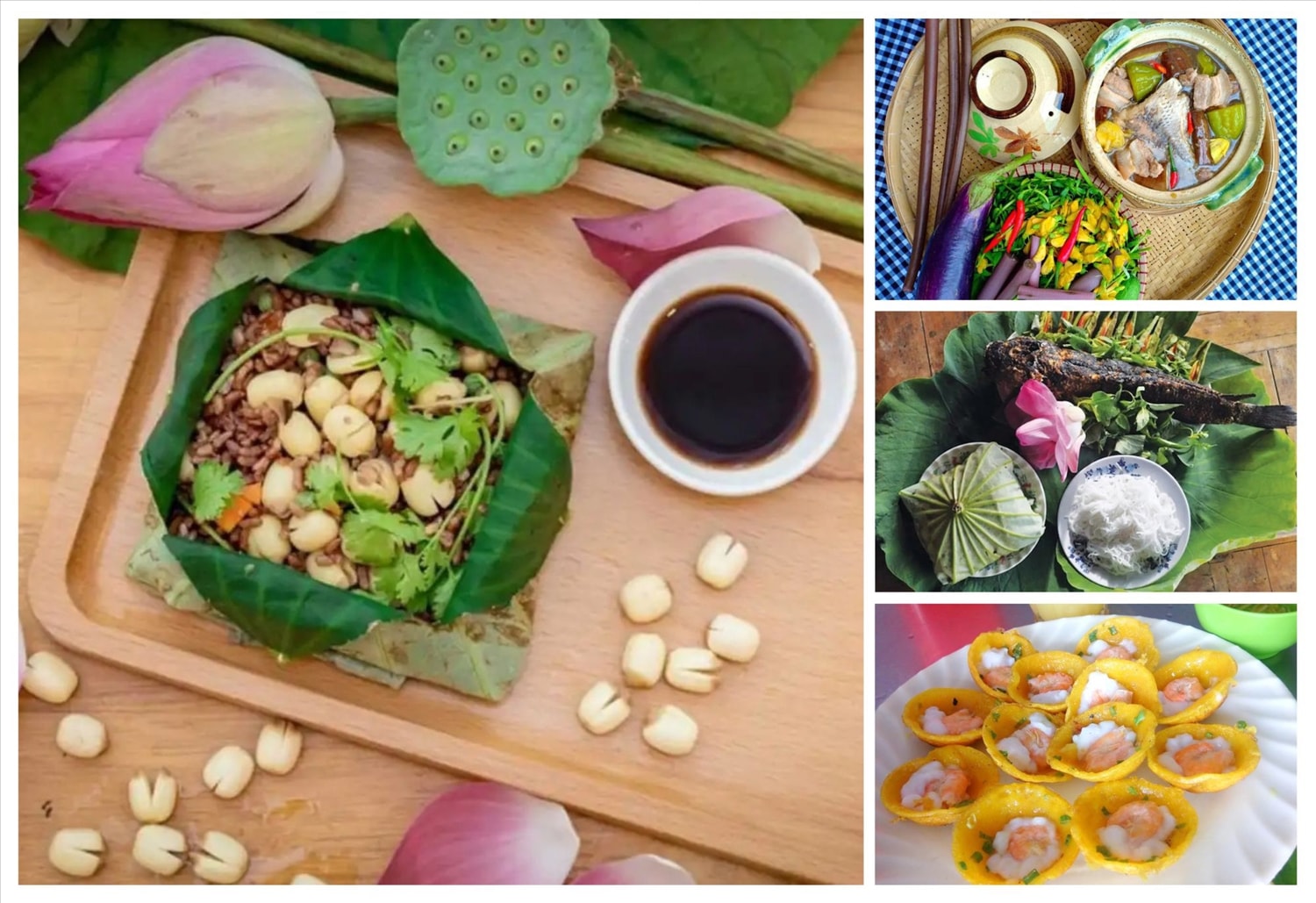 (Tổng hợp) Đồng Tháp- Dấu ấn vùng đất sen hồng   5
