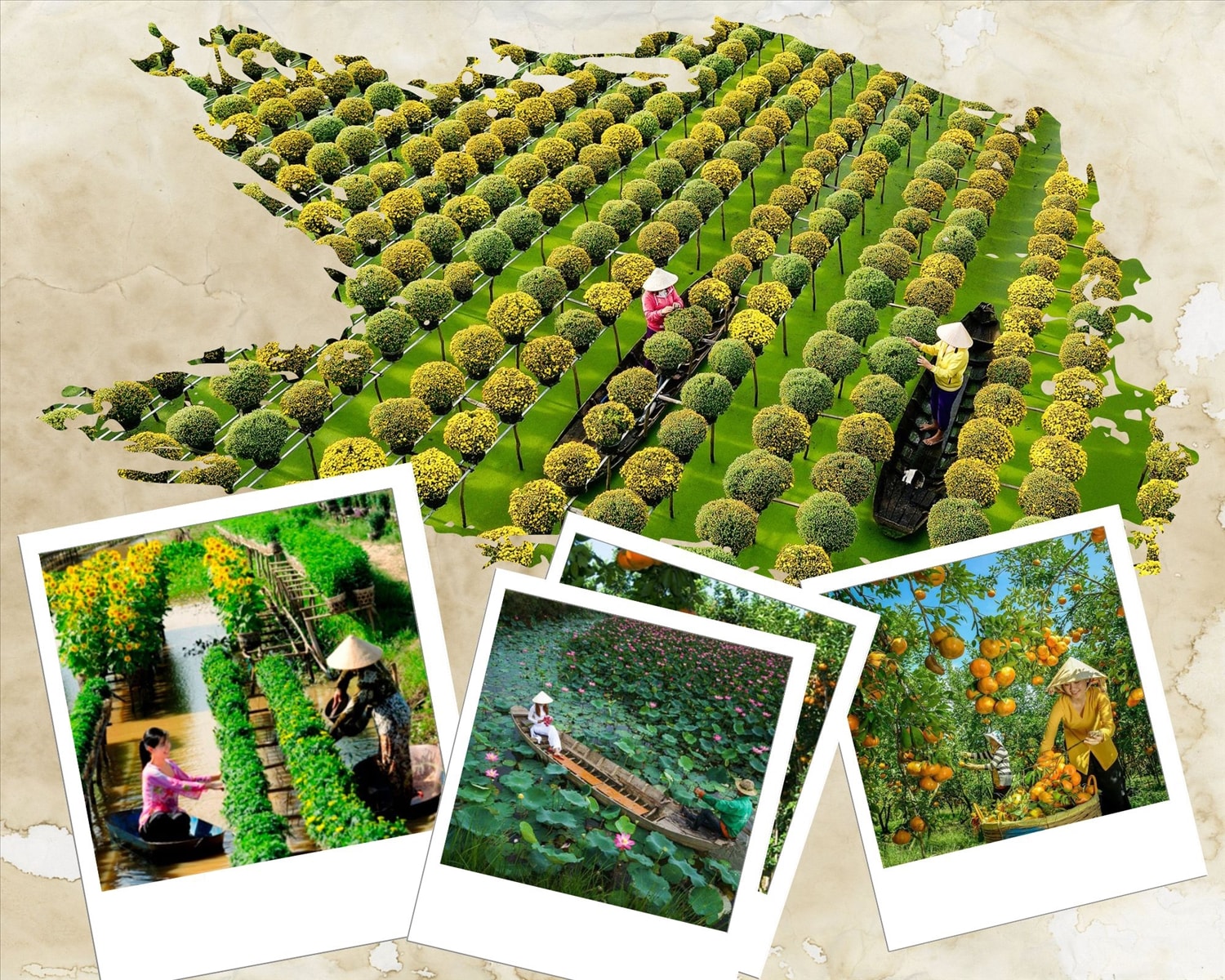 (Tổng hợp) Đồng Tháp- Dấu ấn vùng đất sen hồng  
