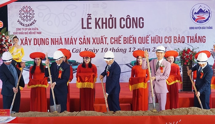 Khởi công Nhà máy sản xuất, chế biến quế hữu cơ tại xã Phong Niên, huyện Bảo Thắng