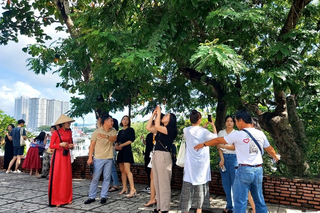 Đoàn Fam tour khảo sát các địa điểm du lịch tại Nha Trang