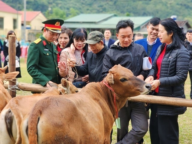 Bà Nguyễn Thị Phượng, Phó Tổng GĐ Agribank trao tặng bò cho các hộ gia đình Tại Hà Quảng (Cao Bằng) Bà Nguyễn Thị Phượng, Phó Tổng GĐ Agribank trao tặng bò cho các hộ gia đình Tại Hà Quảng (Cao Bằng)