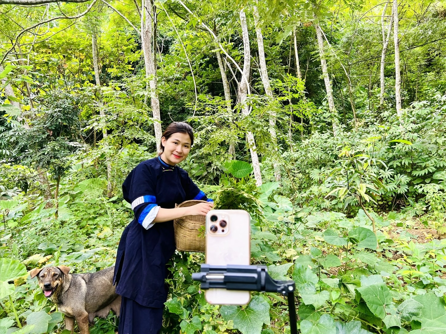 Quỳnh bắt đầu làm những video ngắn kể những câu chuyện giản dị, nhẹ nhàng về núi rừng 