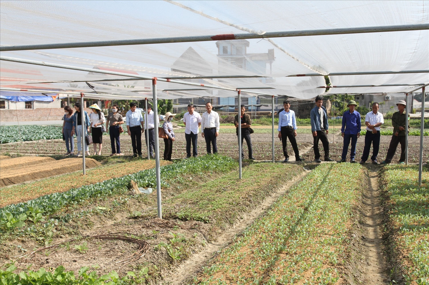 Hội viên Hội nông dân huyện Đại từ đi thăm quan, học tập chuyển giao công nghệ tại TP Phổ Yên Thăm mô hình sản xuất rau của gia đình hội viên sản xuất kinh doanh giỏi tại huyện Phú Bình