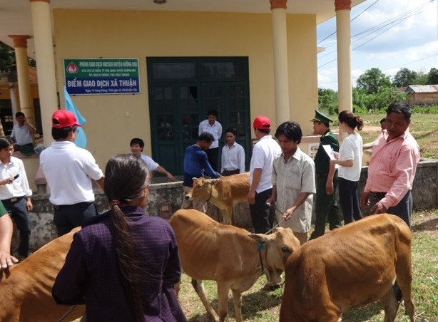 Với nguồn lực hỗ trợ từ các chương trình, dự án, đồng bào các dân tộc ở xã Thuận đã chuyển đổi từ phương thức canh tác “phát, cốt, đốt, trỉa” sang sản xuất nông nghiệp hàng hóa. Với nguồn lực hỗ trợ từ các chương trình, dự án, đồng bào các dân tộc ở xã Thuận đã chuyển đổi từ phương thức canh tác “phát, cốt, đốt, trỉa” sang sản xuất nông nghiệp hàng hóa.