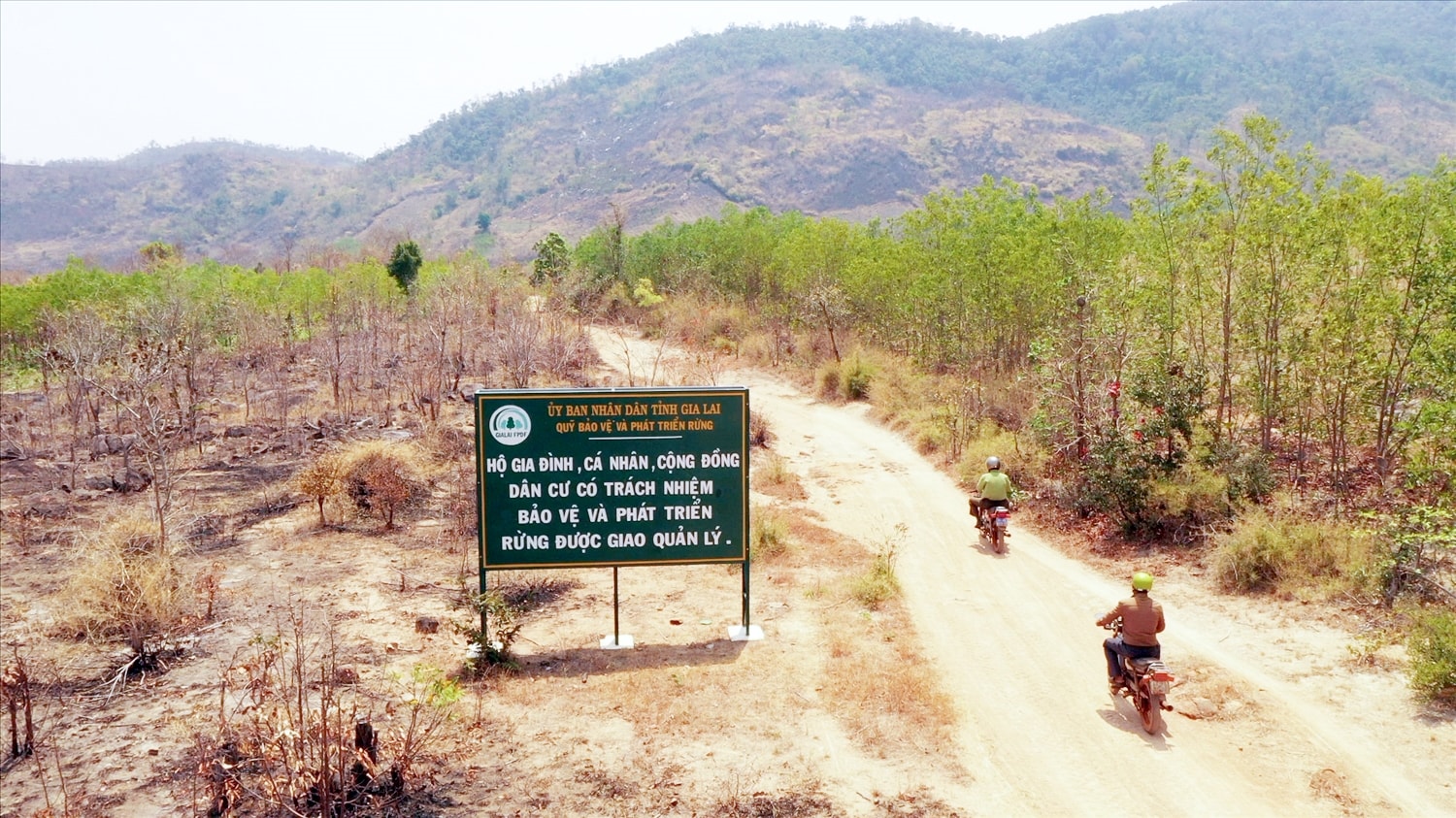 Chư Pưh (Gia Lai) nỗ lực bảo vệ rừng giáp ranh 1