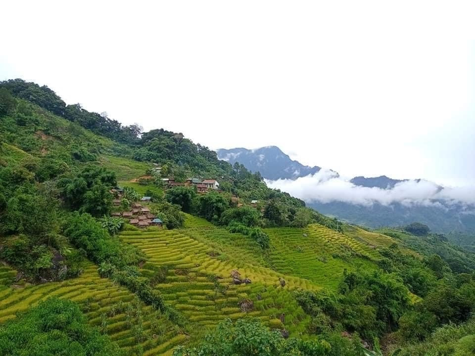 Xã Ngọc Linh nơi có điều kiện thuận lợi để phát triển cây dược liệu
