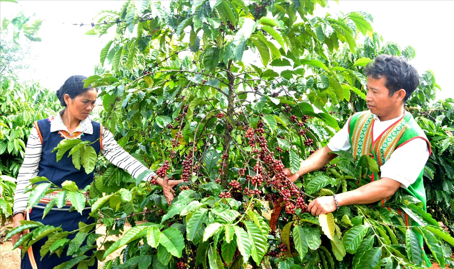 Những kết quả tích cực thực hiện Chương trình mục tiêu quốc gia Những kết quả tích cực thực hiện Chương trình mục tiêu quốc gia