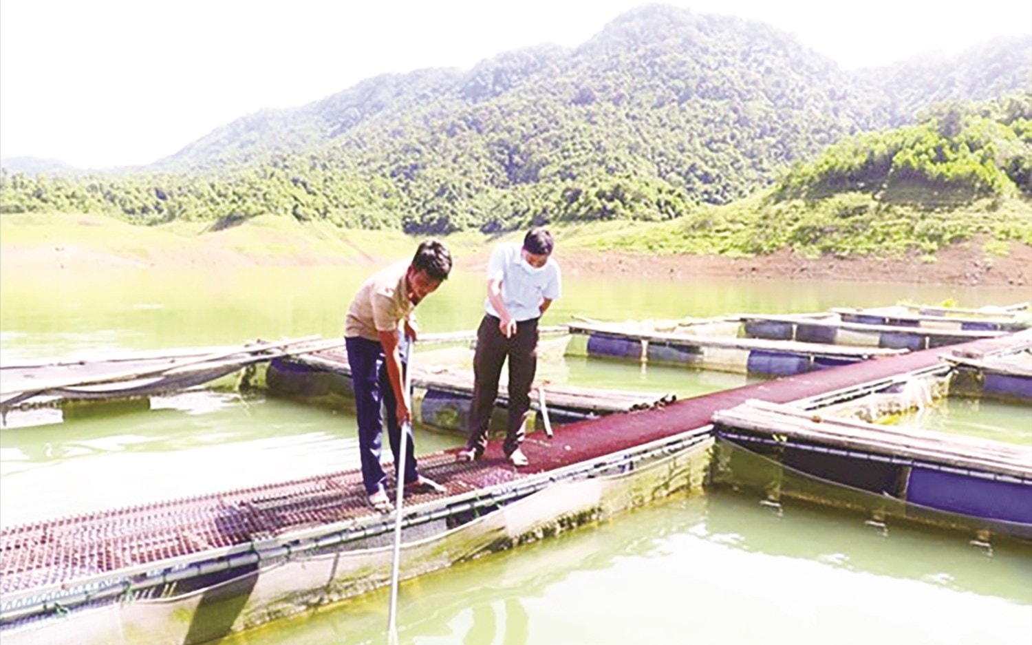 Khu nuôi cá lồng được thực hiện các biện pháp vệ sinh an toàn thực phẩm. Ảnh: baothanhhoa.vn Khu nuôi cá lồng được thực hiện các biện pháp vệ sinh an toàn thực phẩm. Ảnh: baothanhhoa.vn