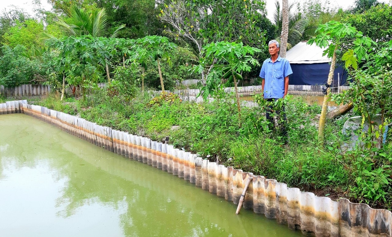 Ông Lâm Nửa bên ao nuôi ba ba của gia đình