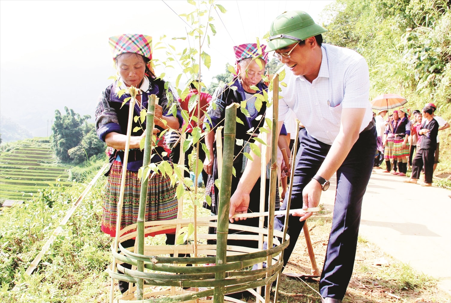 Ông Nông Việt Yên, Bí thư Huyện ủy Mù Cang Chải trồng hoa “Tớ dày” (tên tiếng Mông của loài hoa mai anh đào) khi tham gia chương trình tình nguyện “Ngày cuối tuần về cùng dân”.  