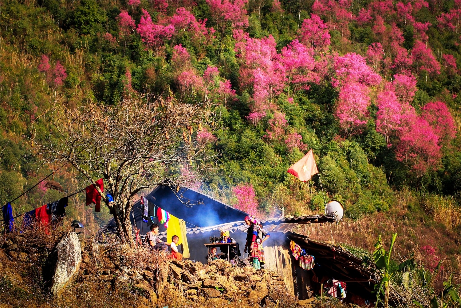 Sắc màu vùng cao. Ảnh: Trần Trung Hiếu