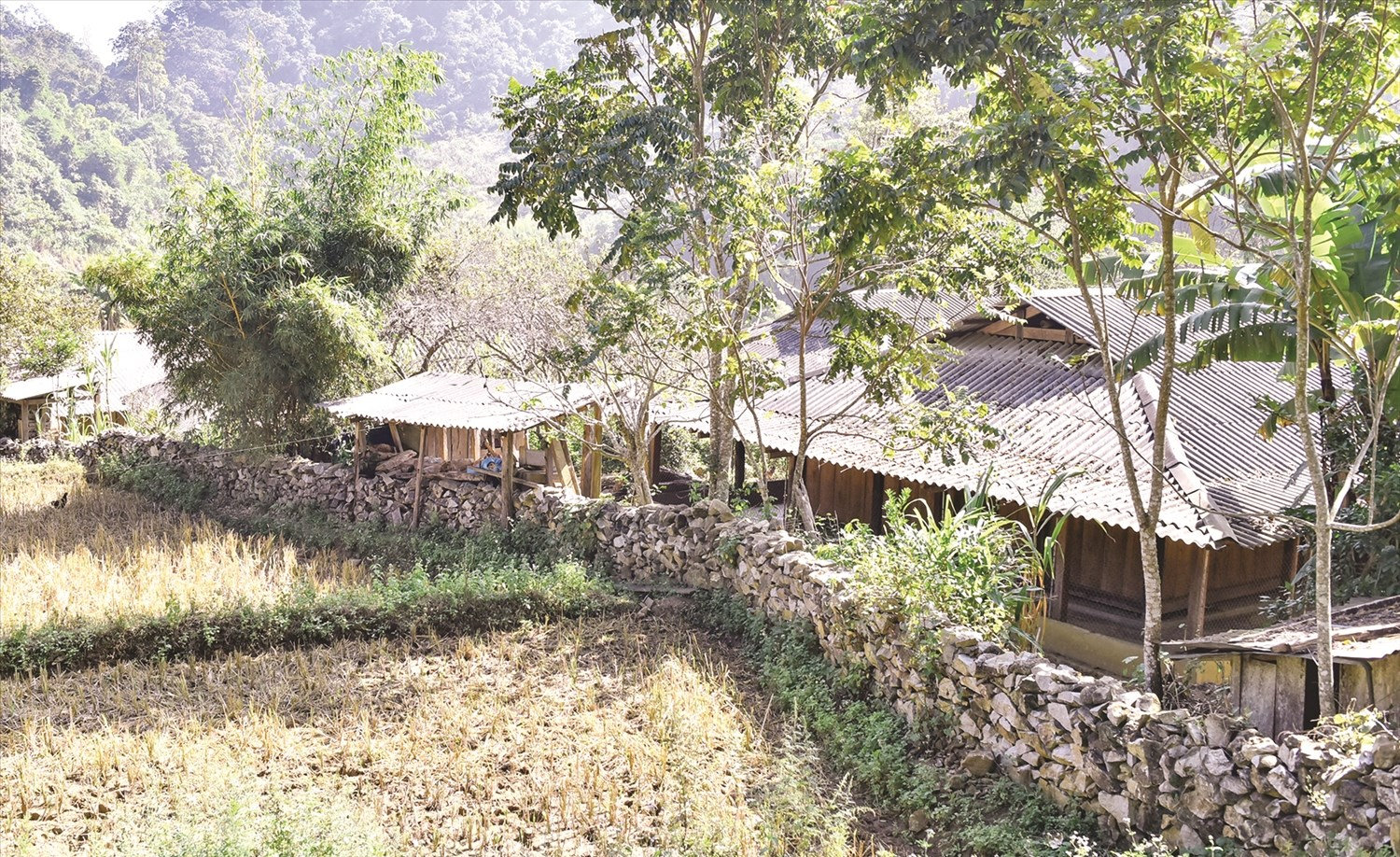 Sài Khao là một bản người Mông, thuộc xã Mường Lý, huyện miền núi biên giới Mường Lát, tỉnh Thanh Hóa. Đây là một địa danh nổi tiếng đã đi vào thơ ca