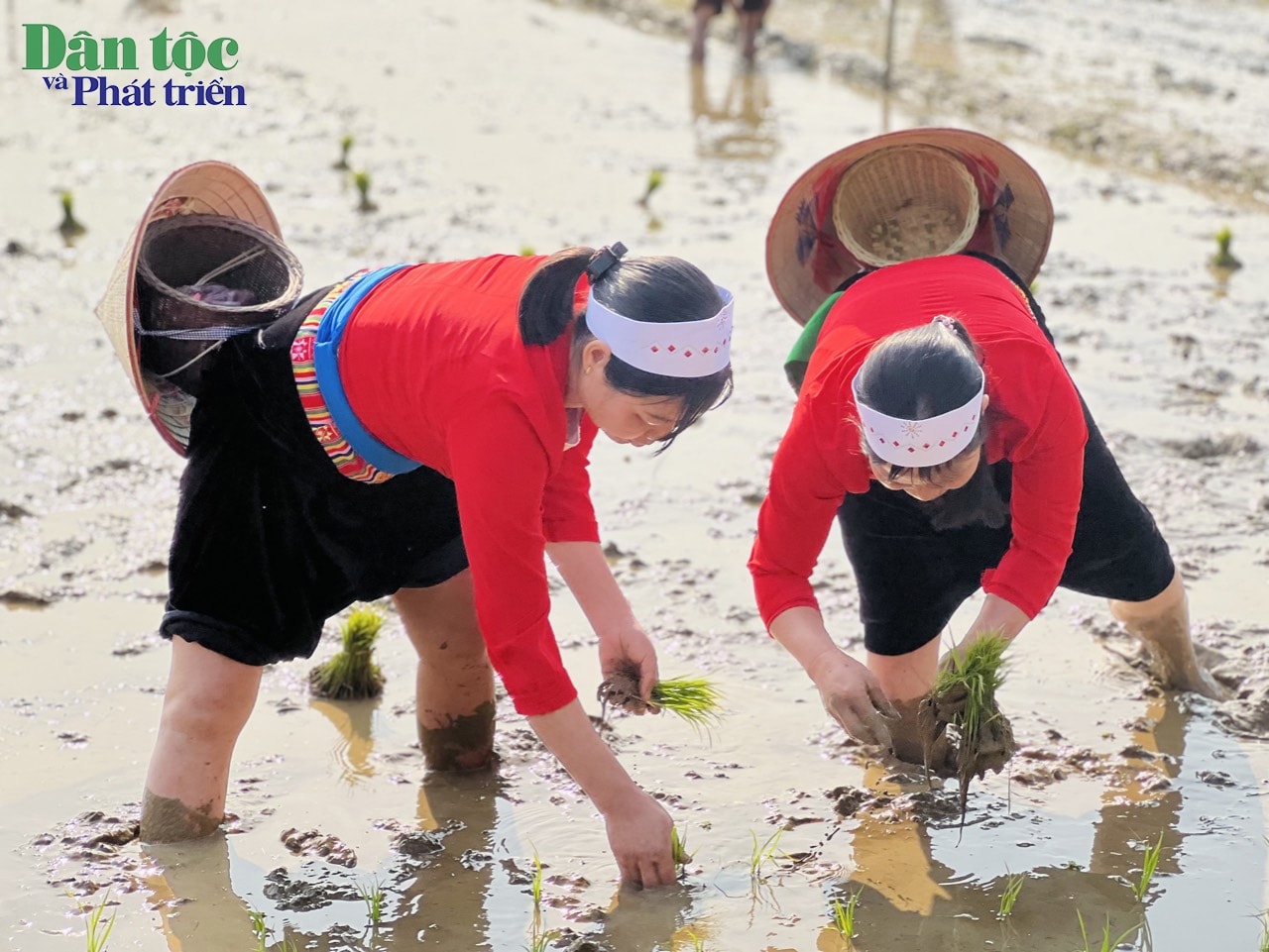 Nghi lễ xuống đồng của dân tộc Mường trong khuôn khổ Lễ hội