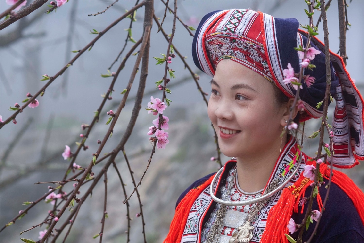 Tác phẩm 