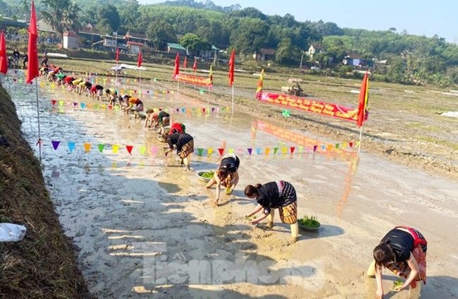 Theo người dân tộc Thái, đầu Xuân năm mới, khi đã đón xong Tết Nguyên đán thì cũng là thời điểm giao mùa, thích hợp nhất cho việc xuống đồng trồng lúa. Ngày này, thầy mo của các bản mường sẽ chọn ngày đẹp nhất rồi cùng mọi người trong bản tổ chức ngày hội xuống đồng