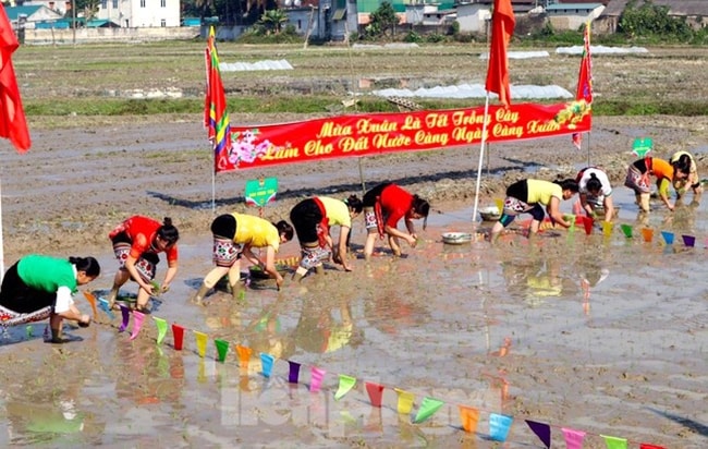 Trước khi tổ chức phần thi cấy lúa, Ban Tổ chức lễ hội đã thực hiện nghi thức cúng các vị thần như Pù xưa, thần núi, thần rừng, những vị anh hùng khai bản lập mường. Lễ hội có ý nghĩa mong muốn cầu cho mưa thuận, gió hòa, mùa màng bội thu, Nhân dân có cuộc sống ấm no, hạnh phúc