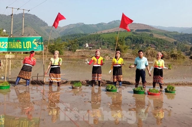 Khi tham gia cuộc thi, các chị em đều diện cho mình những bộ váy áo truyền thống đẹp nhất. Mặc cho những ngày đầu năm mới tiết trời rất lạnh nhưng chị em phụ nữ ai cũng hồ hởi lội xuống đồng, tay cầm sẵn mạ non, chờ hiệu lệnh của Ban Tổ chức để thi cấy lúa
