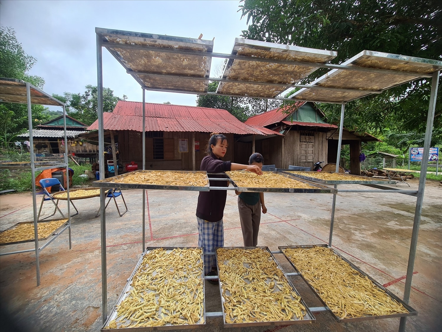 Người Vân Kiều với sản phẩm OCOP 3 sao “Măng khô Cà Roòng” 3 Người Vân Kiều với sản phẩm OCOP 3 sao “Măng khô Cà Roòng” 3