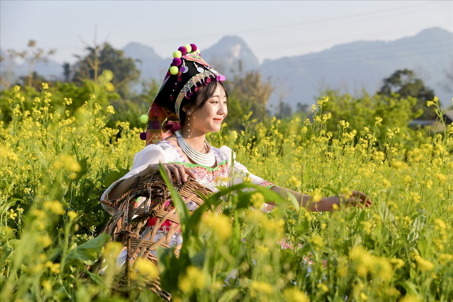Mùa Xuân là hình ảnh thiếu nữ xinh tươi bên những luống cải vàng rực rỡ.