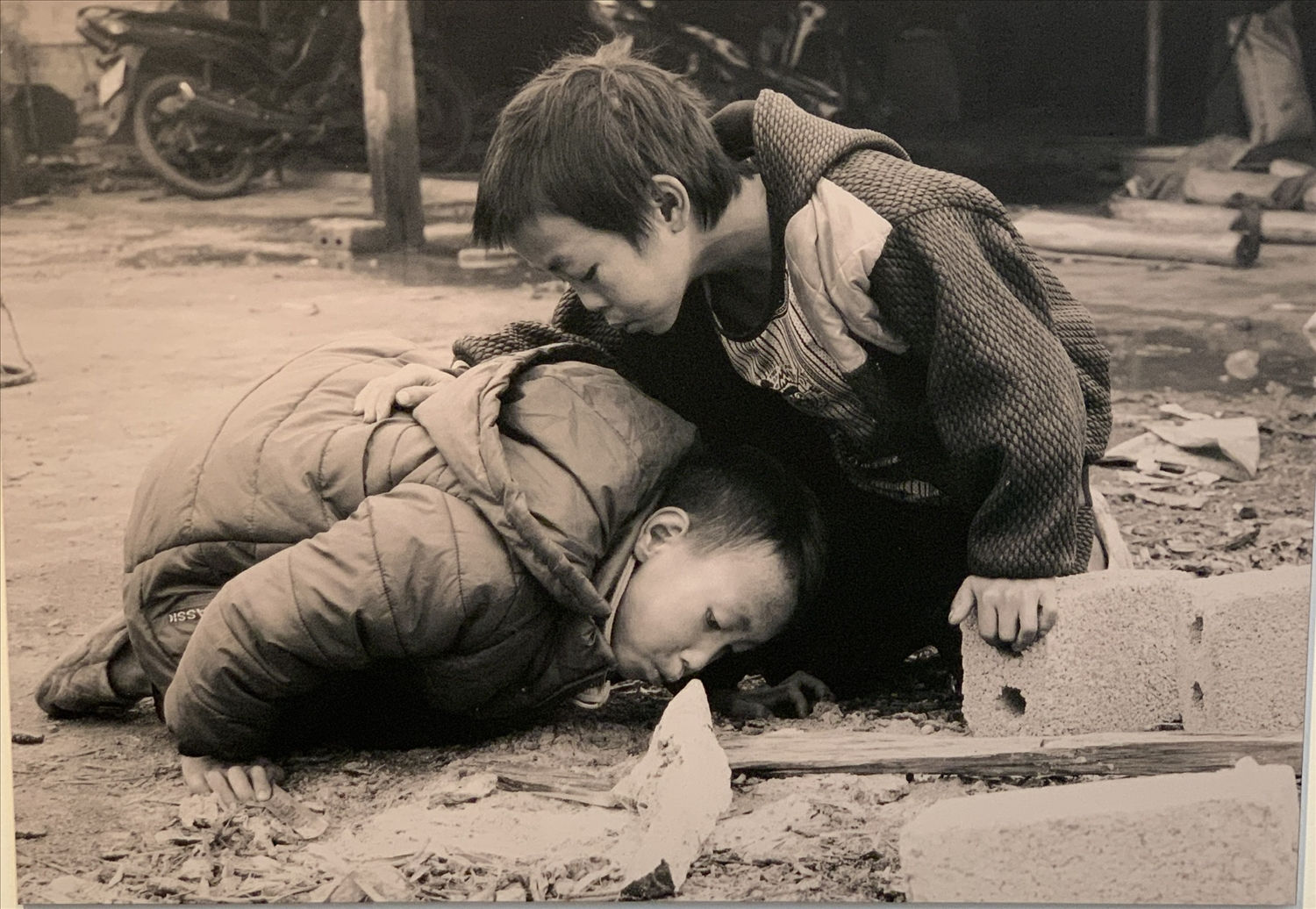 Bức ảnh 