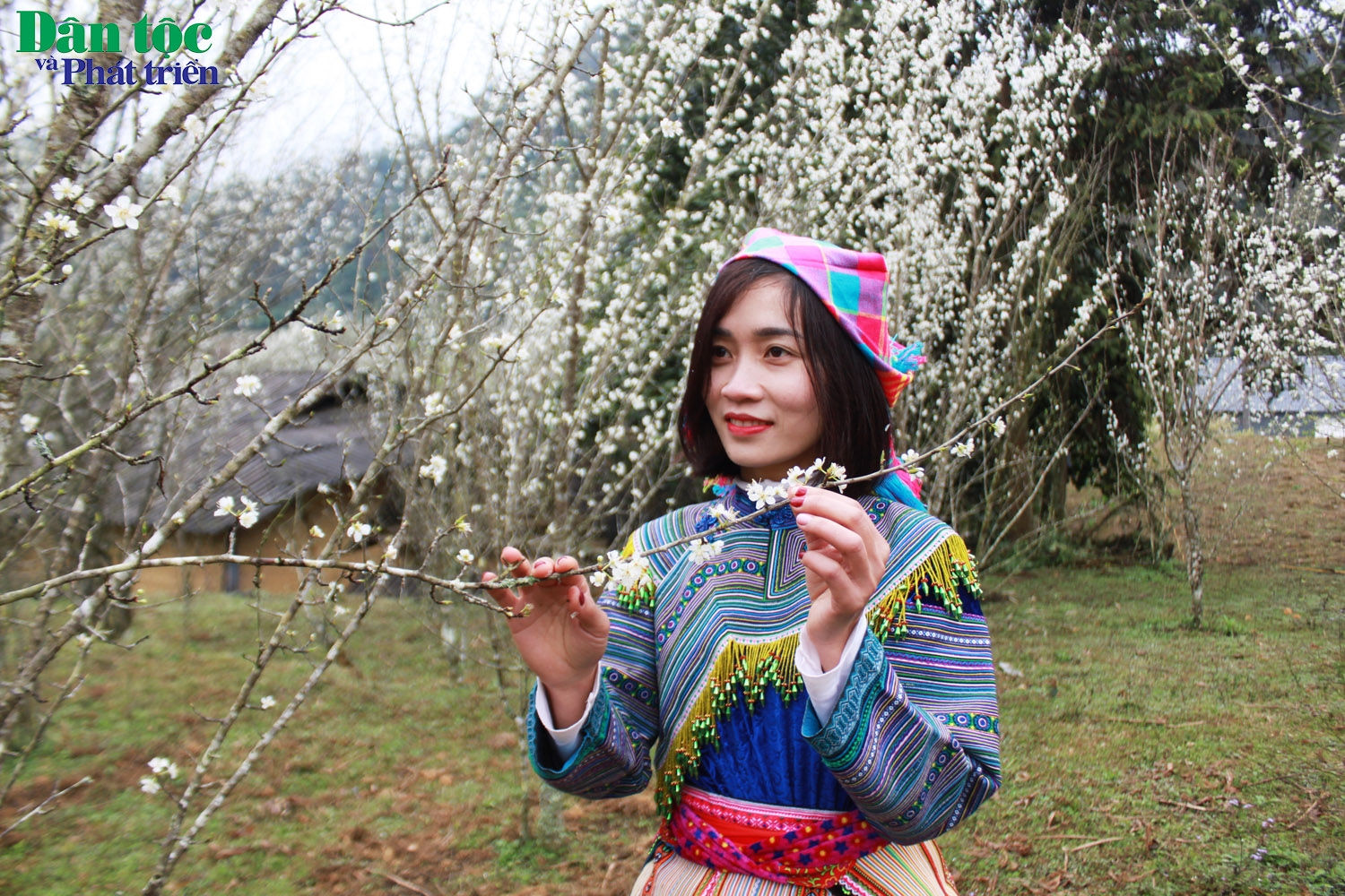 Lào Cai: Khai mạc chương trình
