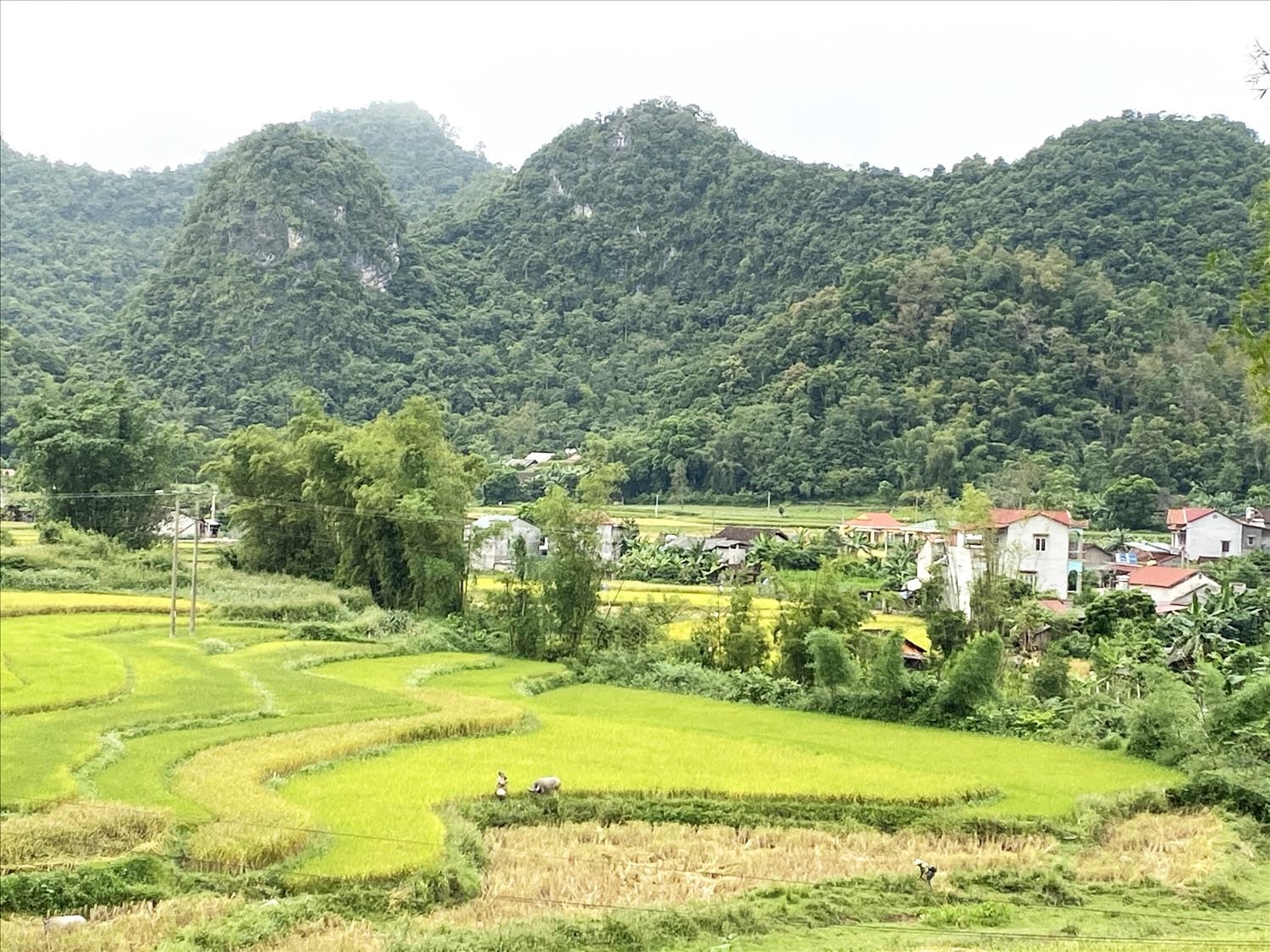 Trong tháng 2/2023, tỉnh Cao Bằng đã giải ngân trên 98 tỷ đồng để triển khai các Dự án, Tiểu dự án thuộc Chương trình MTQG Trong tháng 2/2023, tỉnh Cao Bằng đã giải ngân trên 98 tỷ đồng để triển khai các Dự án, Tiểu dự án thuộc Chương trình MTQG