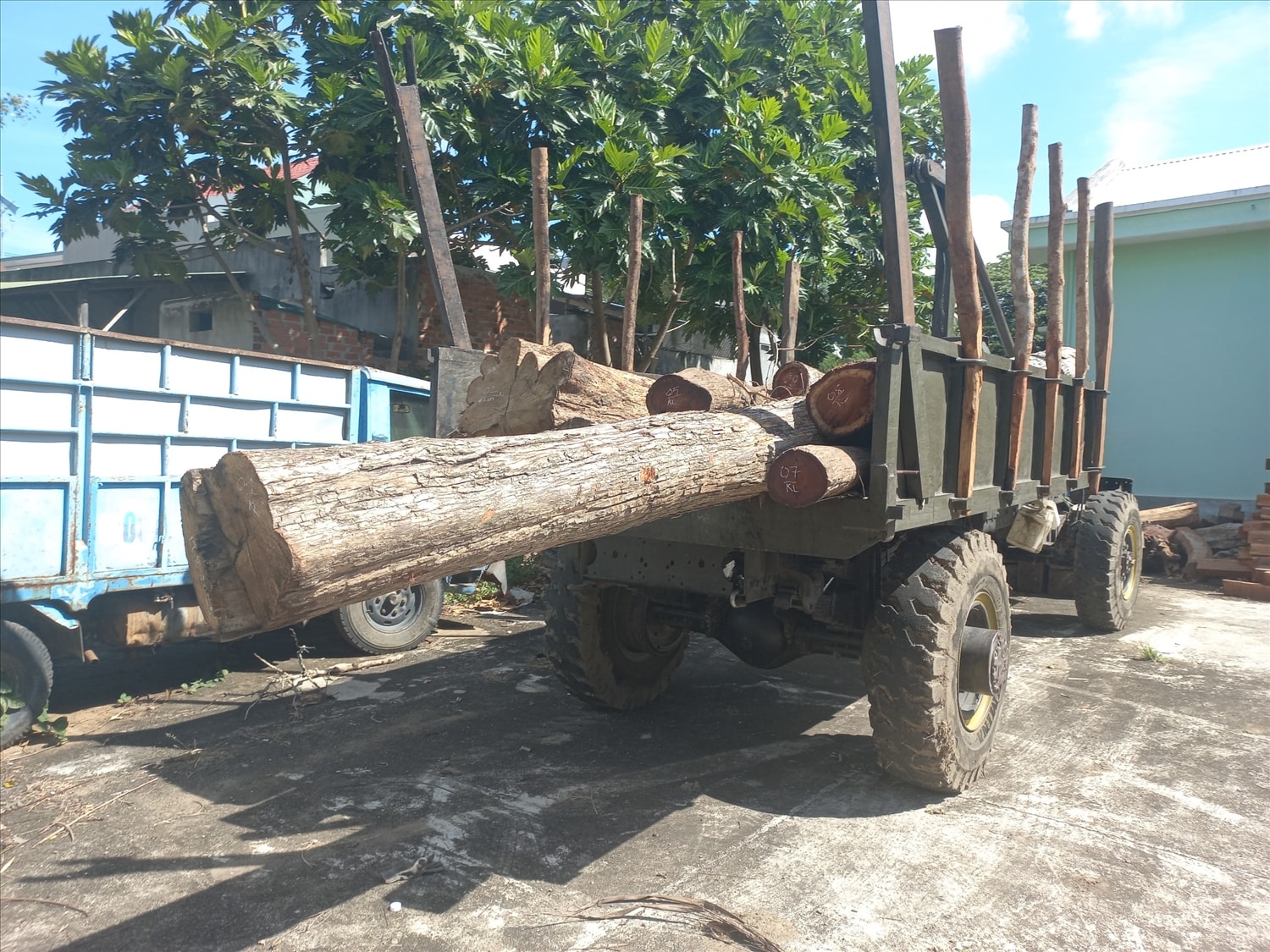 Lực lượng chức năng thu giữ tang vật, phương tiện của vụ phá rừng tại khoảnh 5, tiểu khu 780 (xã Chơ Glong, huyện Kông Chro) Lực lượng chức năng thu giữ tang vật, phương tiện của vụ phá rừng tại khoảnh 5, tiểu khu 780 (xã Chơ Glong, huyện Kông Chro)