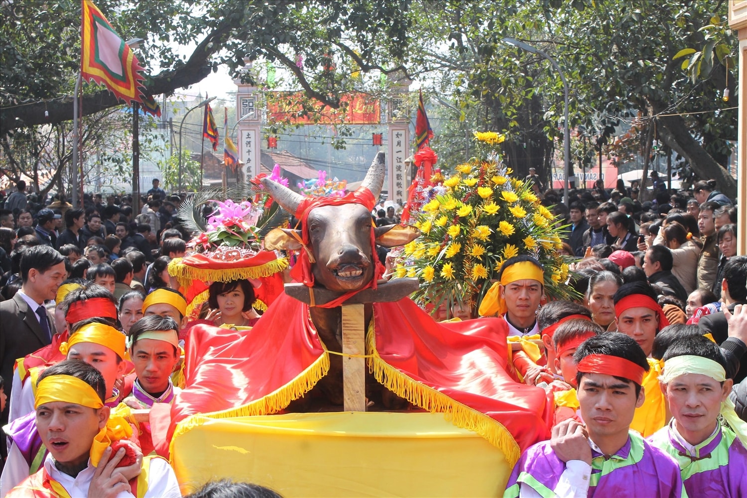 Rước bò tế thánh
