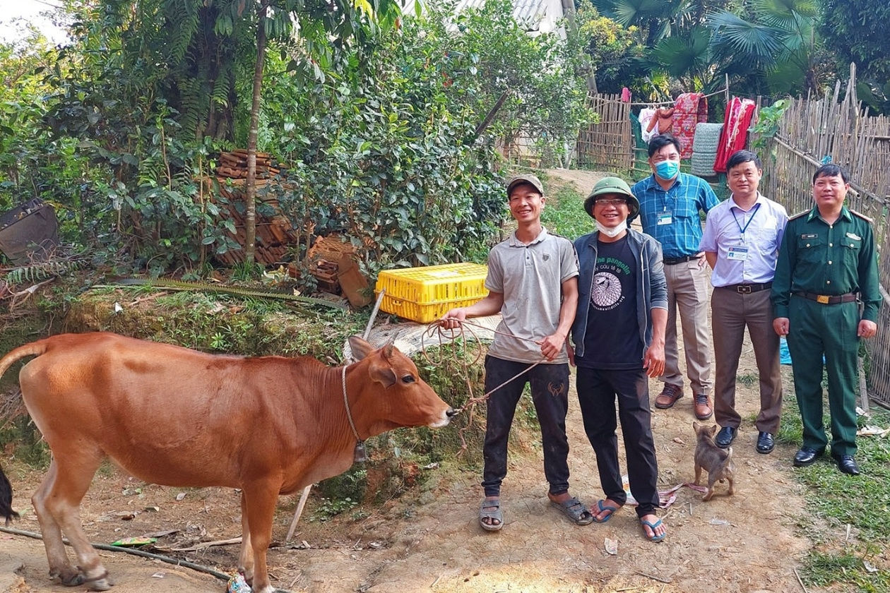Hỗ trợ bò giống cho người nghèo sẽ giúp họ vươn lên trong cuộc sống