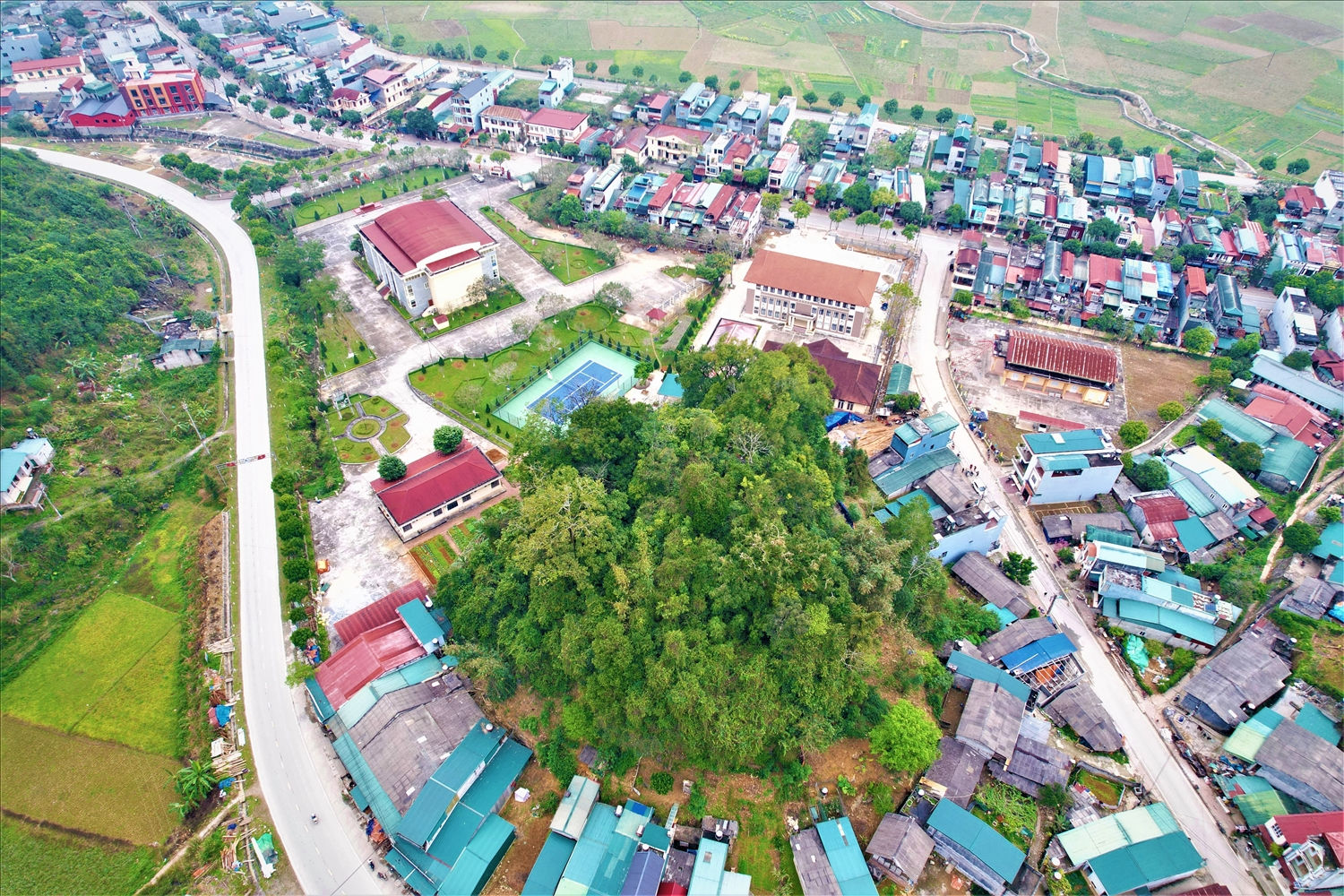 Khu rừng tọa lạc ngay trung tâm thị trấn Mường Khương