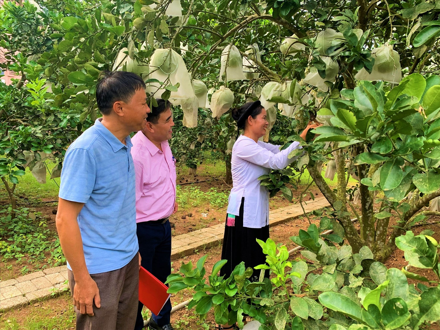 Tín dụng chính sách xã hội điểm tựa vững chắc cho phụ nữ nghèo vươn lên tự hóa giải về bất bình đẳng về giới Tín dụng chính sách xã hội điểm tựa vững chắc cho phụ nữ nghèo vươn lên tự hóa giải về bất bình đẳng về giới