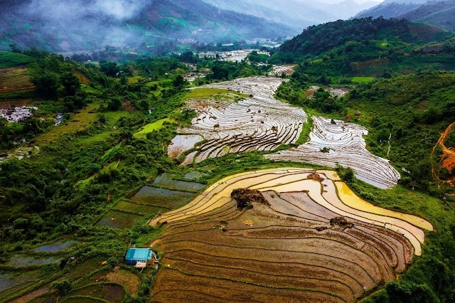 Những thửa ruộng bậc thang dưới chân đỉnh Puxailaileng