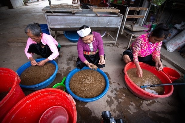 Nguyên liệu làm giấy Dó là từ vỏ cây dướng. Sau khi luộc và ngâm mềm, vỏ cây dướng được nhặt sạch các cặn bẩn sau rồi vào bể nghiền thành bột để làm thành giấy Dó. Ảnh: Trọng Đạt-TTXVN