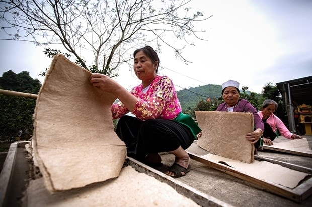 Mỗi đợt seo đủ khoảng 40 - 50 tờ rồi chuyển sang công đoạn ép giấy cho hết nước, tiếp đến tách giấy đem phơi khô. Cứ 10 kg vỏ tươi hoặc 4 kg vỏ khô nguyên liệu sẽ làm ra khoảng 120 tờ giấy có giá dao động từ 10.000 - 15.000 đồng/tờ. Ảnh: Trọng Đạt-TTXVN
