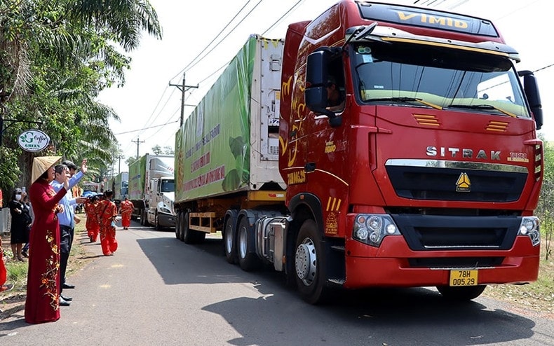 Lô hàng chuối tươi của tỉnh Đồng Nai xuất khẩu sang thị trường Trung Quốc đầu năm 2023