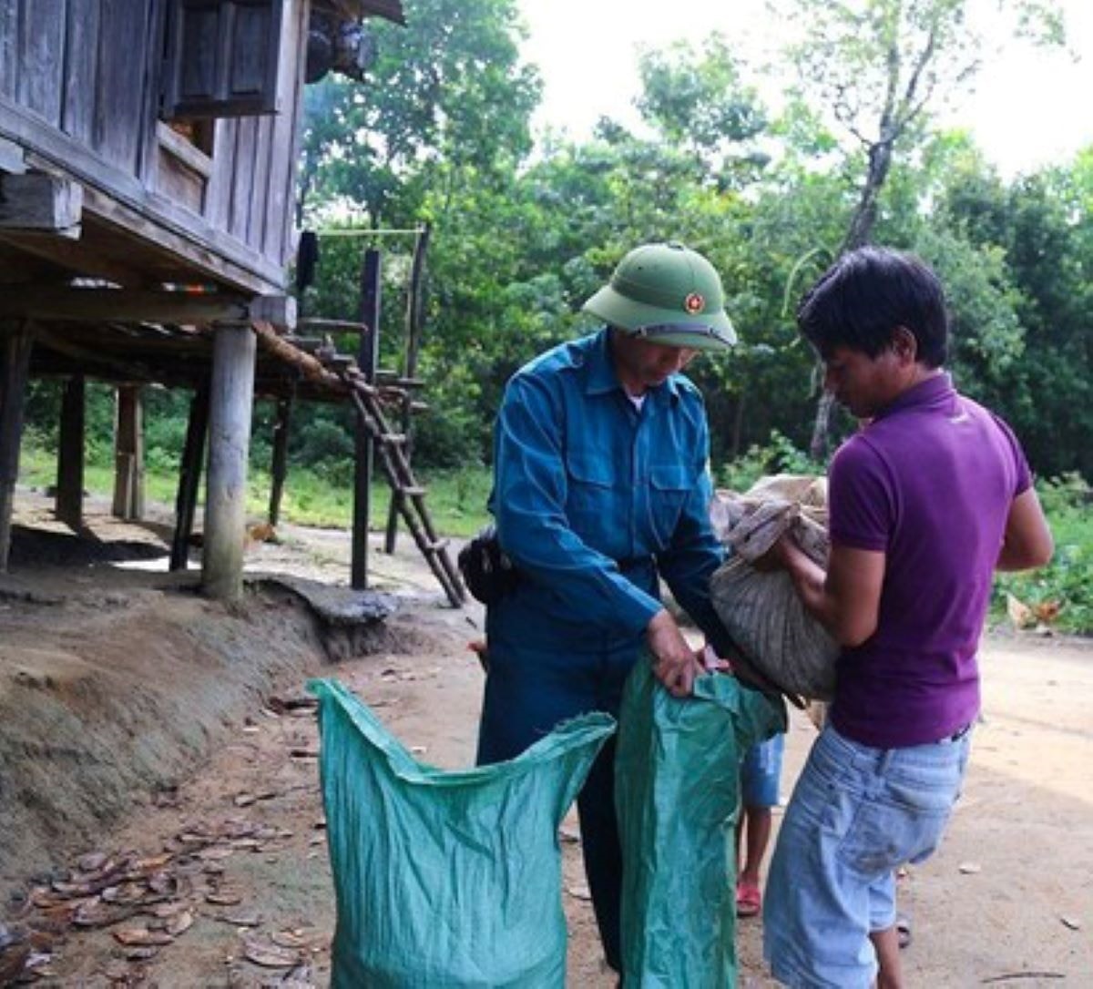 “Bén duyên” với vườn nhà, Trẩu trở thành cây xóa đói giảm nghèo   1