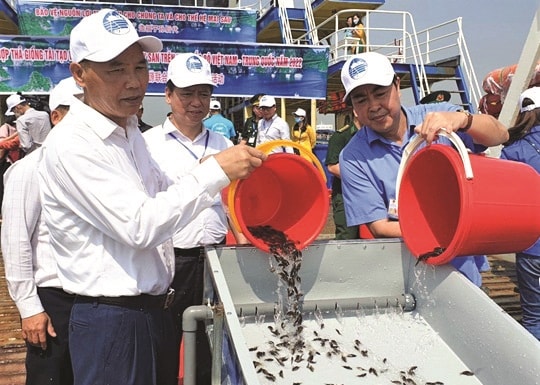 Ông Phùng Đức Tiến (ngoài cùng bên trái), Thứ trưởng Bộ Nông nghiệp và Phát triển nông thôn cùng lãnh đạo Sở Nông nghiệp và Phát triển nông thôn tỉnh Quảng Ninh thả con giống tái tạo nguồn lợi thủy sản. Ông Phùng Đức Tiến (ngoài cùng bên trái), Thứ trưởng Bộ Nông nghiệp và Phát triển nông thôn cùng lãnh đạo Sở Nông nghiệp và Phát triển nông thôn tỉnh Quảng Ninh thả con giống tái tạo nguồn lợi thủy sản.