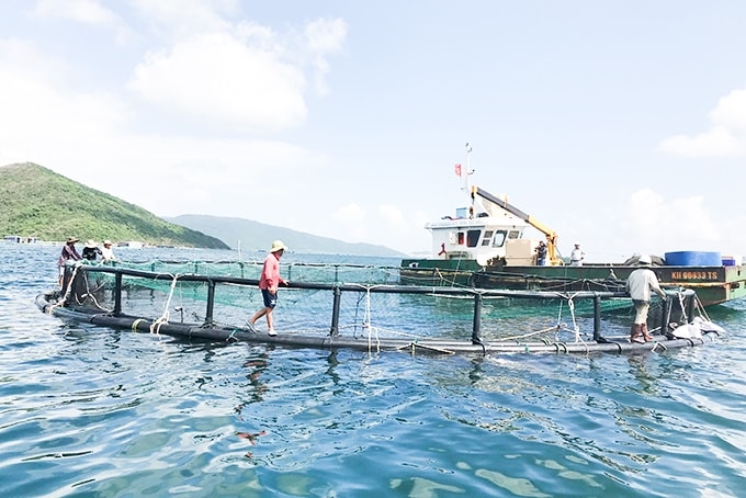 Giảm khai thác, tăng nuôi biển là hướng đi đúng đắn, dài hơi cho ngành thủy sản Việt Nam Giảm khai thác, tăng nuôi biển là hướng đi đúng đắn, dài hơi cho ngành thủy sản Việt Nam