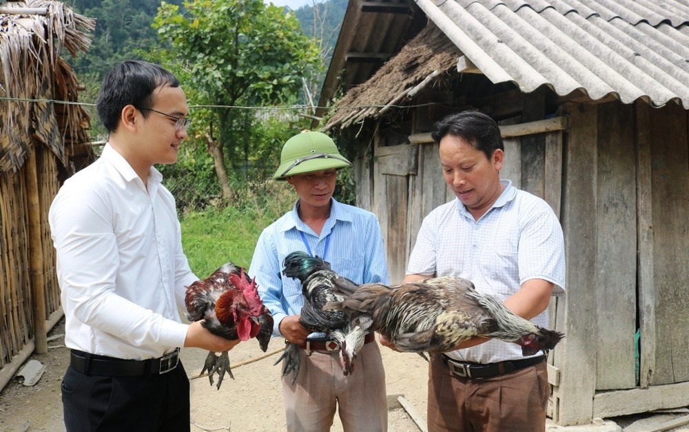 Giảm nghèo bền vững vùng miền núi Nghệ An: Khơi dậy ý thức tự lực, tự cường của nhân dân 2