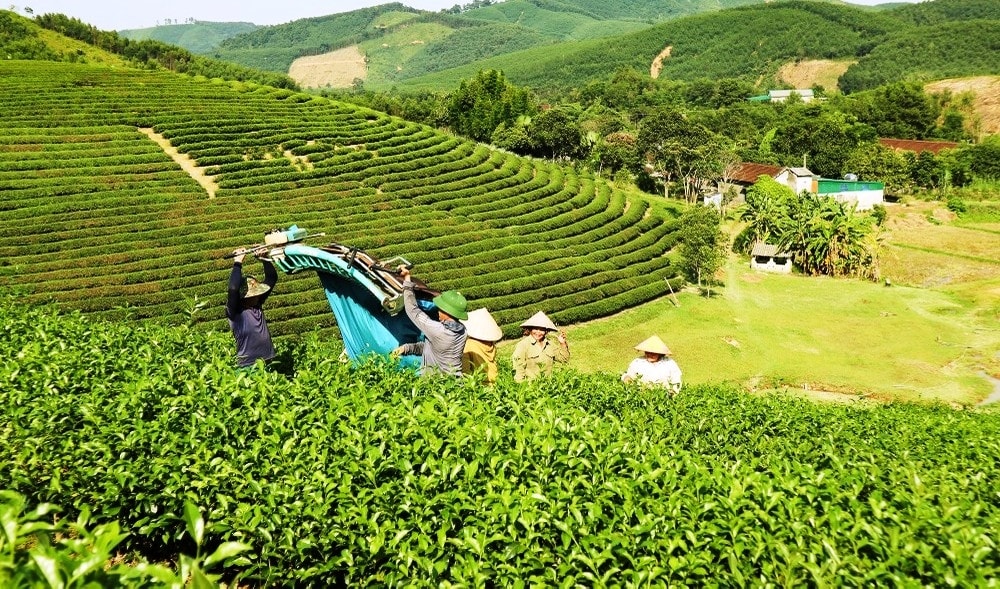 Giảm nghèo bền vững vùng miền núi Nghệ An: Khơi dậy ý thức tự lực, tự cường của nhân dân 1