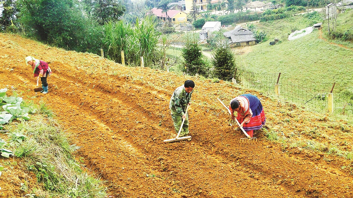 Để giải quyết đất sản xuất cho đồng bào DTTS thì cần điều chỉnh chính sách “tạo điều kiện” như dự thảo Luật thành chính sách “ưu tiên”. (Ảnh minh họa)