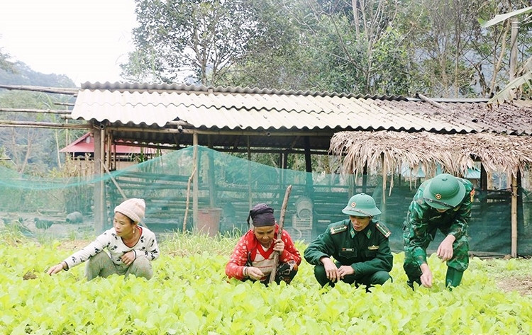 Giúp đồng bào khu vực biên giới phát triển kinh tế, ổn định cuộc sống là một trong những nhiệm vụ hàng đầu của cán bộ, chiến sĩ BĐBP Nghệ An. (Trong ảnh: Trạm Biên phòng Cò Phạt, đồn biên phòng Môn Sơn hướng dẫn người dân Đan Lai kỹ thuật chăm sóc rau) Giúp đồng bào khu vực biên giới phát triển kinh tế, ổn định cuộc sống là một trong những nhiệm vụ hàng đầu của cán bộ, chiến sĩ BĐBP Nghệ An. (Trong ảnh: Trạm Biên phòng Cò Phạt, đồn biên phòng Môn Sơn hướng dẫn người dân Đan Lai kỹ thuật chăm sóc rau)