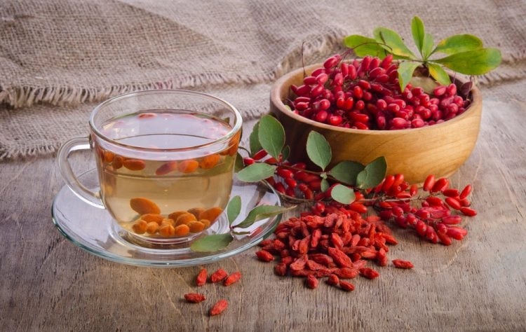 (Tổng hợp) Những bài thuốc hay từ kỷ tử 1