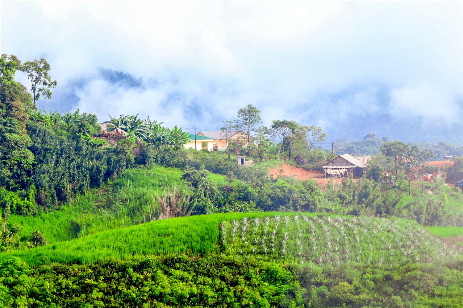 Một góc bản Liên Sơn, xã Nậm Càn, huyện Kỳ Sơn - Nơi có những đại gia đình cả bố mẹ lẫn con cái đều... tảo hôn