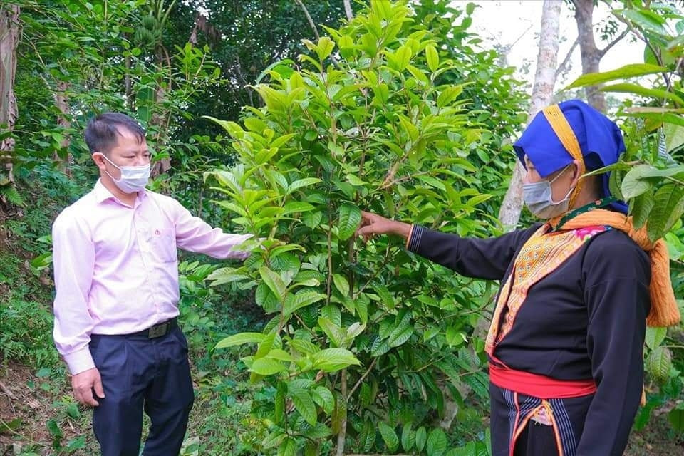 Vùng “lõi nghèo” luôn nhận được sự quan tâm đặc biệt của Đảng, Nhà nước Vùng “lõi nghèo” luôn nhận được sự quan tâm đặc biệt của Đảng, Nhà nước