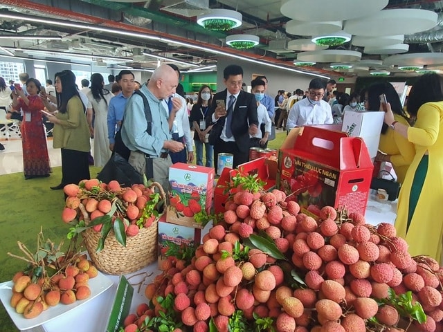 Vải thiều Bắc Giang đã được xuất khẩu tới trên 30 quốc gia và vùng lãnh thổ