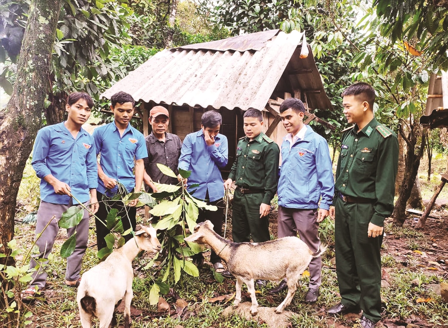 Mô hình dê giống khởi nghiệp của Đồn Biên phòng CKQT La Lay giúp người dân A Ngo phát triển kinh tế.