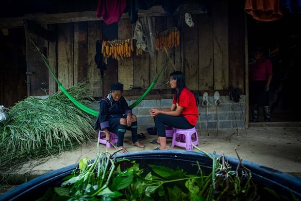 Để làm thuốc nhuộm, lá chàm được thu hoạch và ngâm cùng nước suối sạch trong thùng lớn suốt 3 ngày Để làm thuốc nhuộm, lá chàm được thu hoạch và ngâm cùng nước suối sạch trong thùng lớn suốt 3 ngày